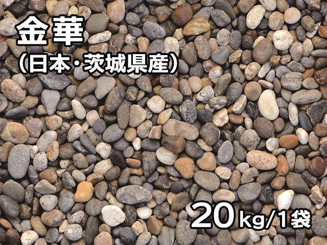 金華(日本・茨城県産) 20kg