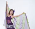 �٥꡼���󥹡����ե���١���250*120�������ǡ������B4-5_14�ڥ᡼��������̵����