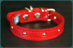 小型犬用Small Type 005(4mm丸鋲)Light