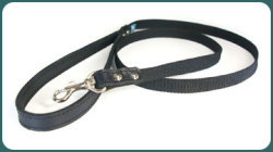 PPLead 001