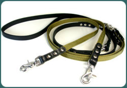 PPLead 006 double