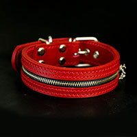 3cm Type ZIP