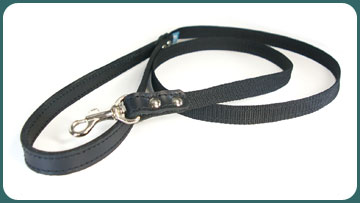 PPLead 001