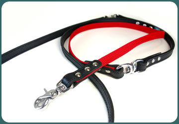 PPLead 006