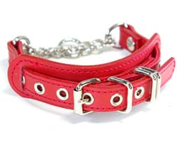 Small Type Choker G1(プロテクト）