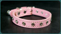 cats 003n�ʷ��