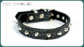 cats 005n(���Ʒ�������