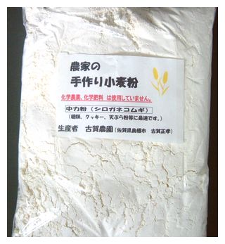 古賀農園の無農薬栽培小麦粉 中力粉(シロガネコムギ)