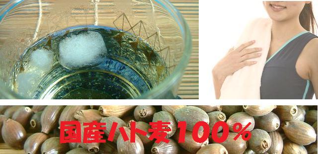 昔の味をそのままに 下郷農協の国産ハト麦100% はと麦茶