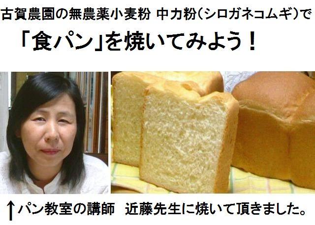 パン教室の講師の近藤先生に古賀農園の無農薬栽培小麦粉 中力粉(シロガネコムギ)を使って食パンを焼いていただきました。