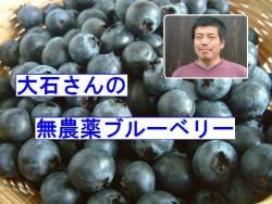 ���ָ��ꡪ���Ф���ι�̵�����ե�å���֥롼�٥꡼