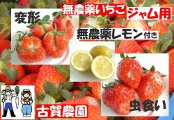 �Ų����ࡡ̵�������󣲸ġ�̵�������ݤ�������������ѡ��ѷ�������������ˡ����ѥå�����������ʾ�