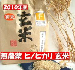 ��̵�����ơ��ҥΥҥ��긼�ơ������Ԥζ������󤬡֤��äС����ޤ����ʤȤƤ���̣�������ˡפȼ��輫���θ���