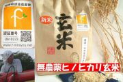 福岡県産 橋口農園無農薬栽培玄米 ヒノヒカリ 生産者自画自賛!