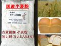 �Ų����ࡡ�񻺾�������ʴ�ߥʥߥΥ�����