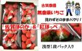 �Ų����ࡡ̵�������ݥ��������Х�󥹤ΤȤ줿��̣�ȴŤߤΡֺ���ۤΤ��ס�ǻ���Ż��äѤ��ΡֹȤۤäڡ�2�����̣���ڤ���ޤ���