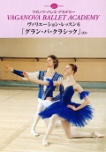 �����ꥨ������󡦥�å���6�֥���󡦥ѡ����饷�å��פۤ�(DVD)