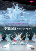 �塞�Υ�Х쥨��´�ȸ����ŷ�Ȥ�����ιΩ��(DVD��