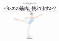 �Х쥨�ζ������Ȥ��Ƥޤ�����