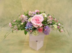 ピンク 【ホリゾンタル】アレンジ