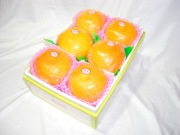 ���졼�ץե롼��