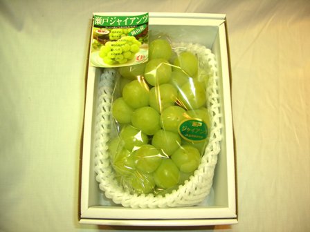 岡山産瀬戸ジャイアンツ