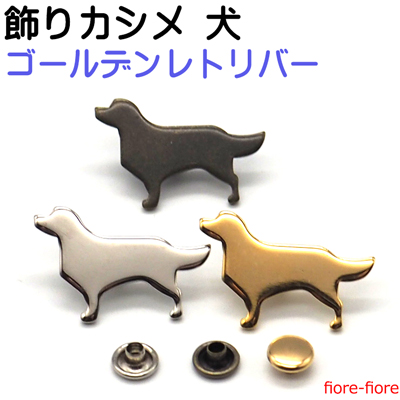 ゴールデンレトリバー