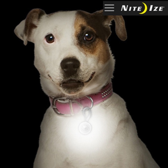 ナイトアイズ(USA) ペットリット ペット用LEDカラーライト NITE IZE (USA) PetLit