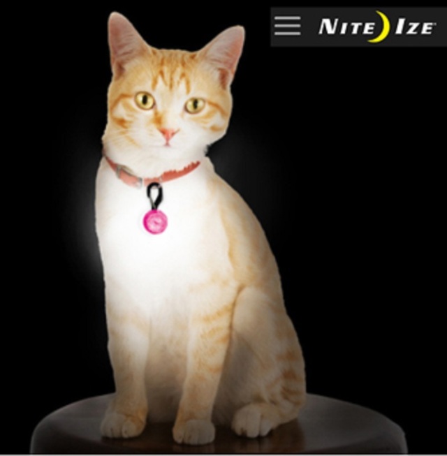 ナイトアイズ(USA) ペットリット ペット用LEDカラーライト NITE IZE (USA) PetLit