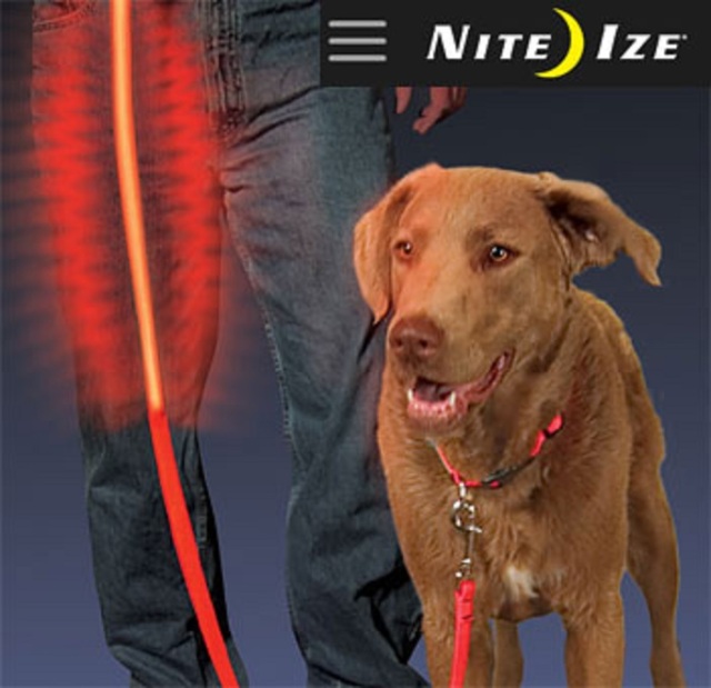 ナイトアイズ(USA) ライトアップドッグリード E22000 ペット用 セーフティーLEDライトリード NITE IZE (USA) Light Up Dog Lead