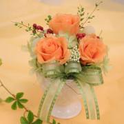 �ץꥶ���֥ɥե������եȡ�����󥸥ޥ����å�