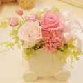 �ץꥶ���֥ɥե������եȡ�����ե���