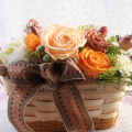 �ץꥶ���֥ɥե������եȡ���ư�Υ����