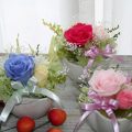 �ץꥶ���֥ɥե������եȡ��ץ��ե�����