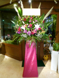 ���饤�󥹥���ɲ֣Σţס�15S-20111��