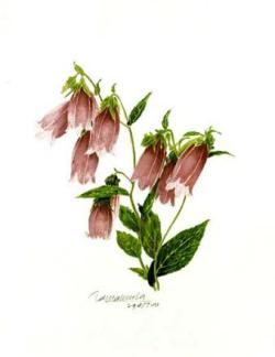 gp_t019