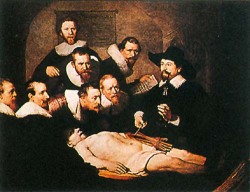 レンブラント【解剖学講義】 ガレリア・フランジェリコwebショップ