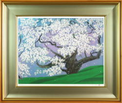 中島千波 『臥龍桜』 【送料無料】 ガレリア・フランジェリコwebショップ