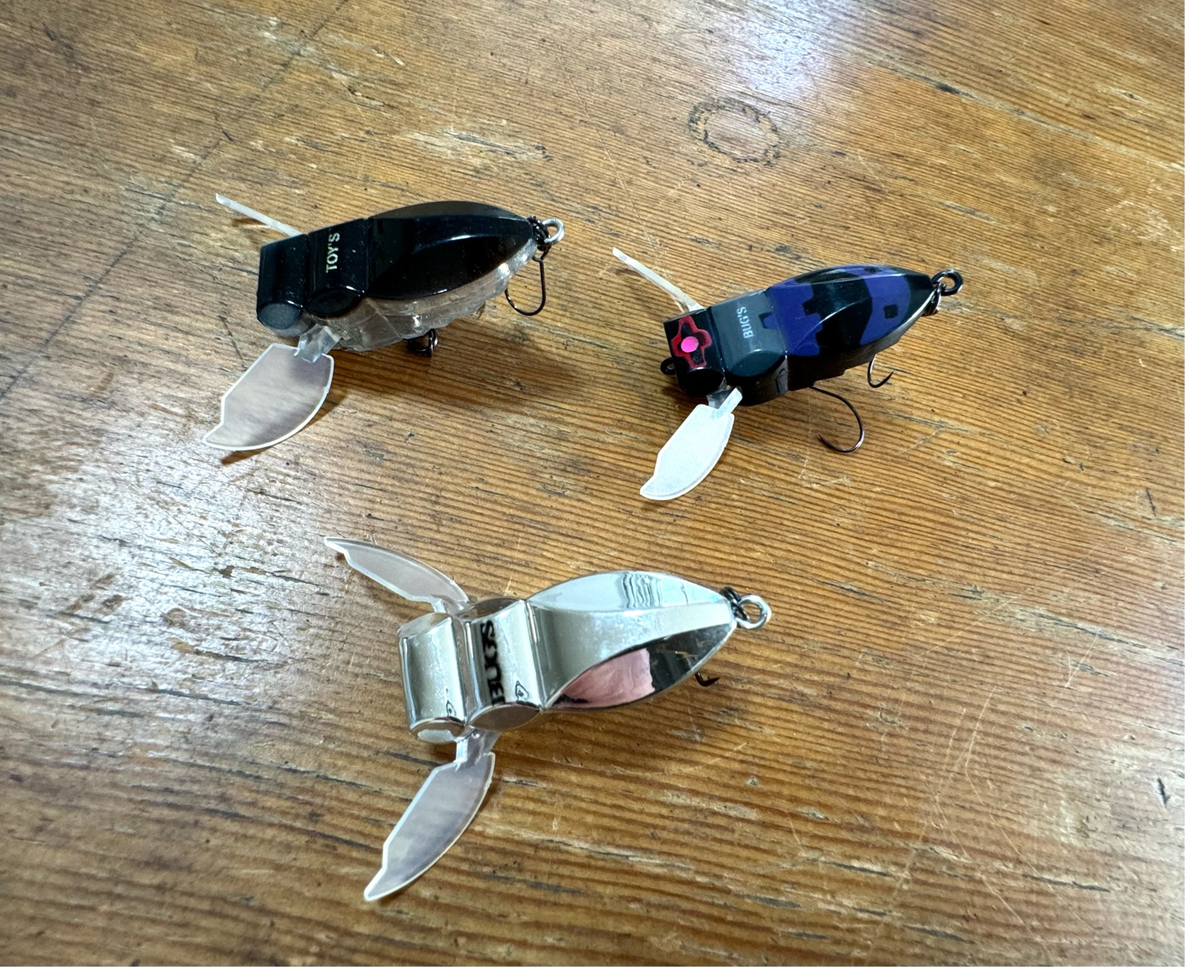 ガンデイーニ　ナノ