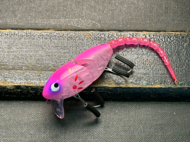 マッドラッド50：ピンクバッククリア