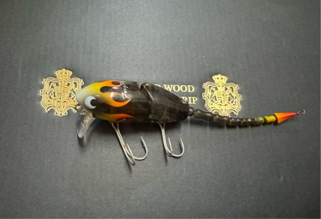 マッドラッド50 ファイヤーパターングラデ ロケ使用品