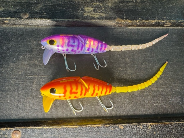 マッドラッド80 新色