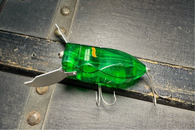 ピカピカガンディーニ　フライヤーズコラボ　ＬＥＤ