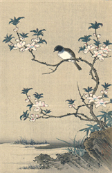 狩野元信 花鳥図 日本木版画粋 / 古本・古書販売 フロイス堂