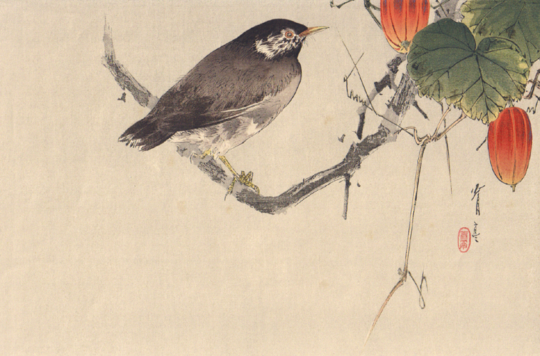 渡辺省亭本物、花鳥帖 渡辺省亭本物、花鳥帖 - メルカリ