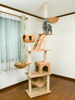 nekochan-tower