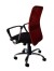 ceres-red-back
