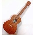 Martin(�ޡ������T1��Uke�ʥƥʡ�����������