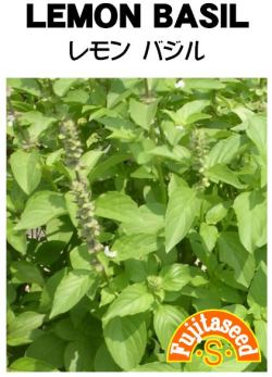 �С����롡����С�����