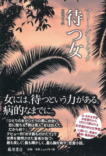 待つ女 マリー ダリュセック 高頭麻子 藤原書店
